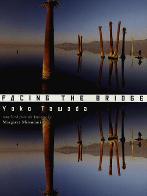 cover image of Facing the Bridge
